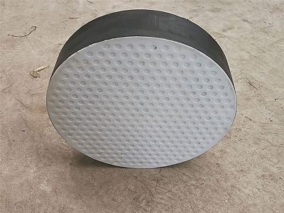 靖西市四氟板式橡胶支座易于更换缓冲隔震